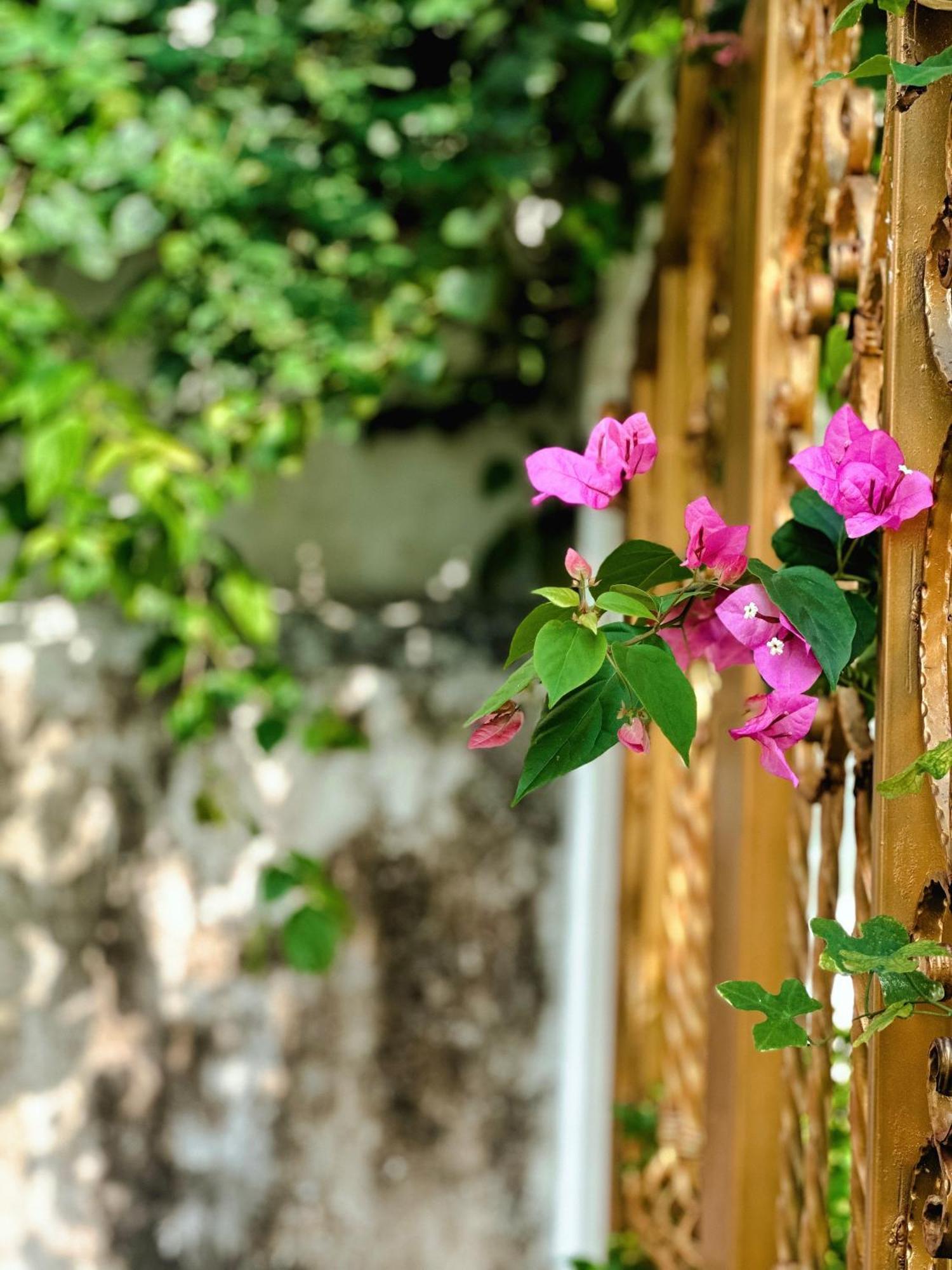 Blue Fish Villa Tan Thanh Екстер'єр фото